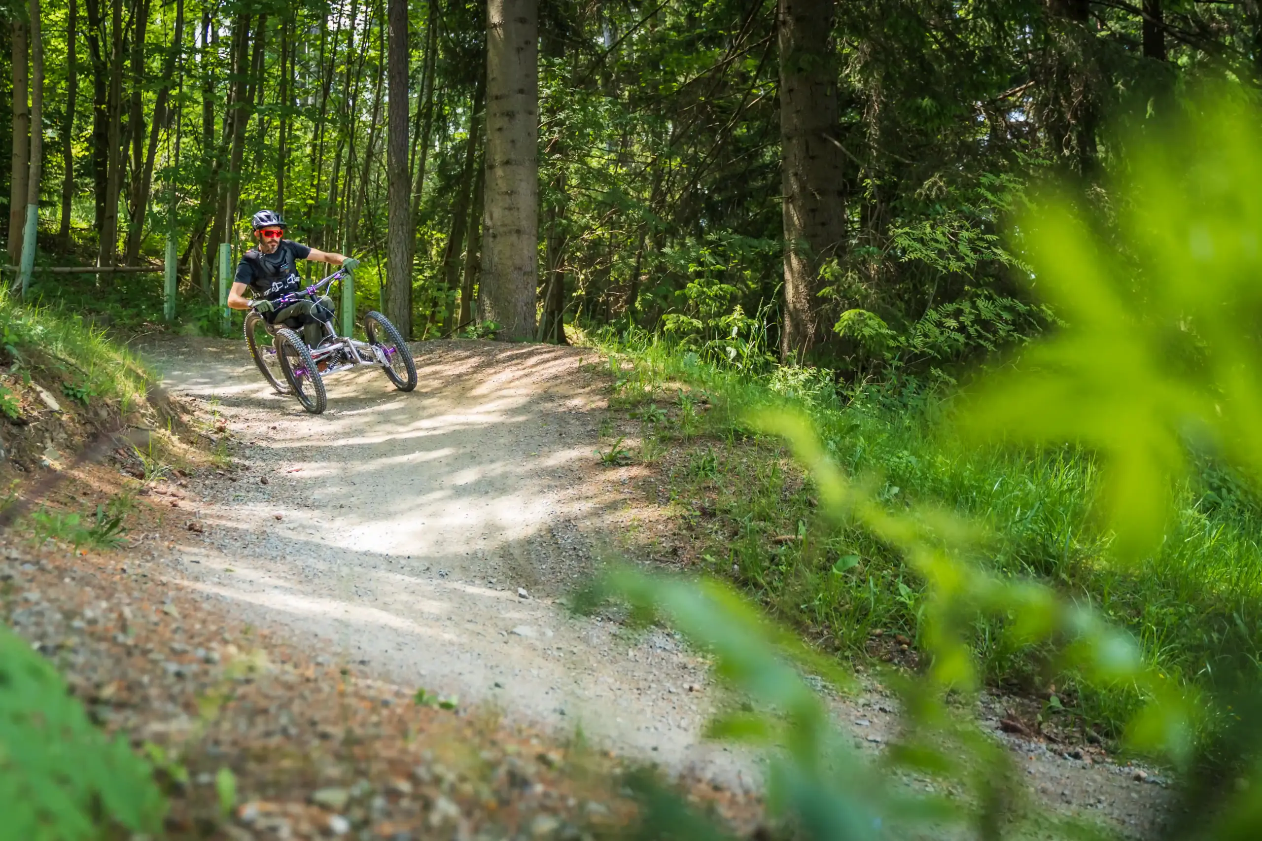 Wexl Trails